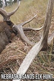 Nebraska Sand Hills Elk Hunt