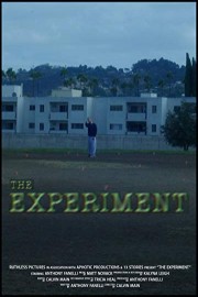 The Experiment