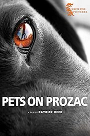 Pets on Prozac