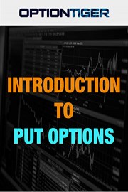Introduction to Put Options