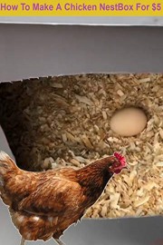 How To Make A Chicken NestBox For $5