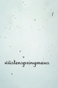 Wustenspringmaus