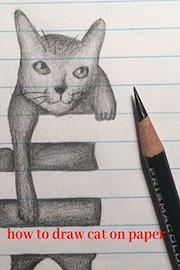 How to draw cat on paper