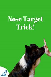 Dog Nose Target Trick