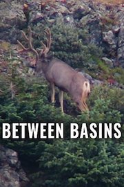 Between Basins