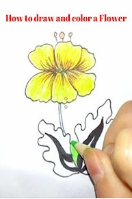 How to draw and color a Flower