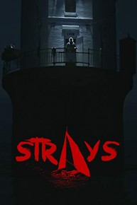 Strays