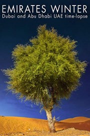 Emirates Winter - Dubai and Abu Dhabi UAE time-lapse