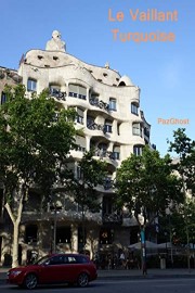 Le Vaillant Turquoise