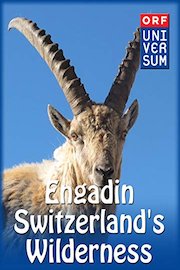Engadin - Switzerland's Wilderness