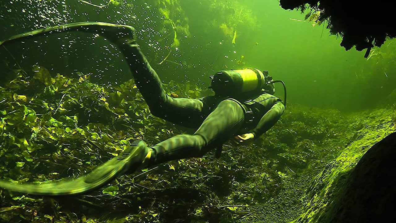 Underwater Okavango