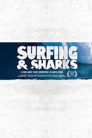 Surfing and Sharks