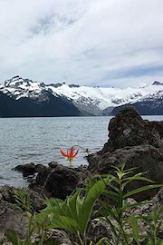 Hiking with Valentine - Garibaldi Lake Trail