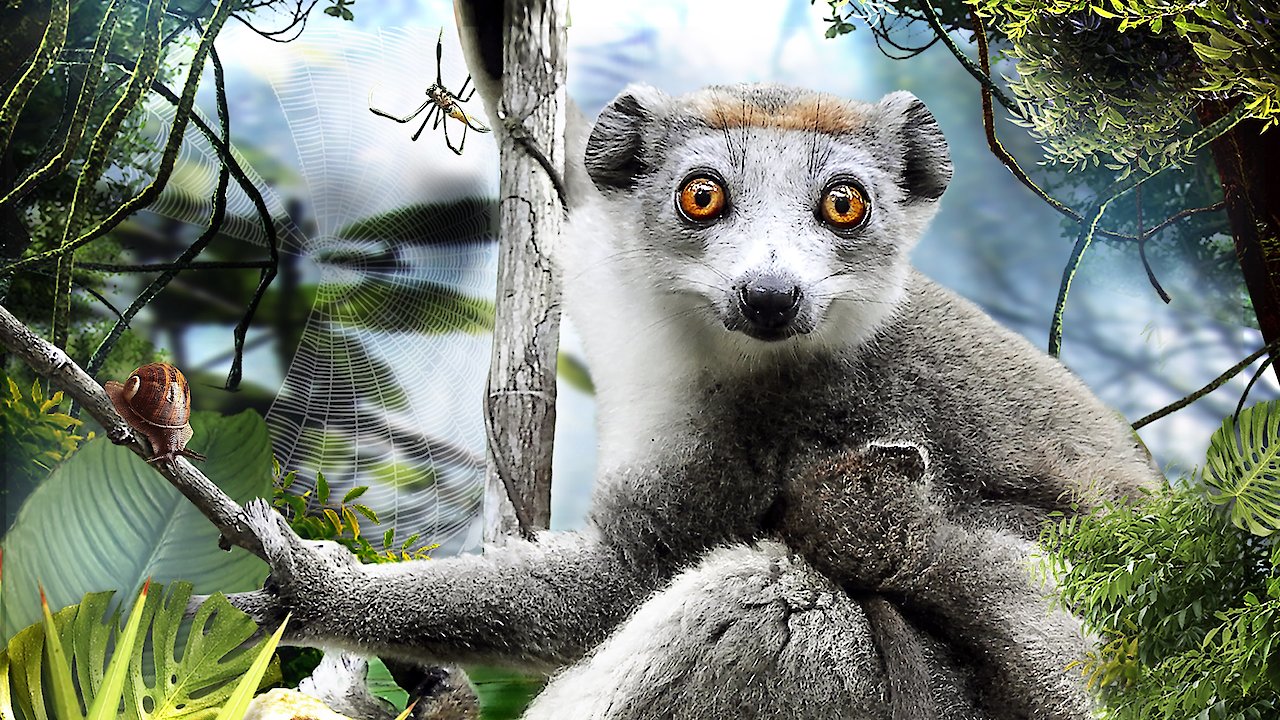 Madagascar