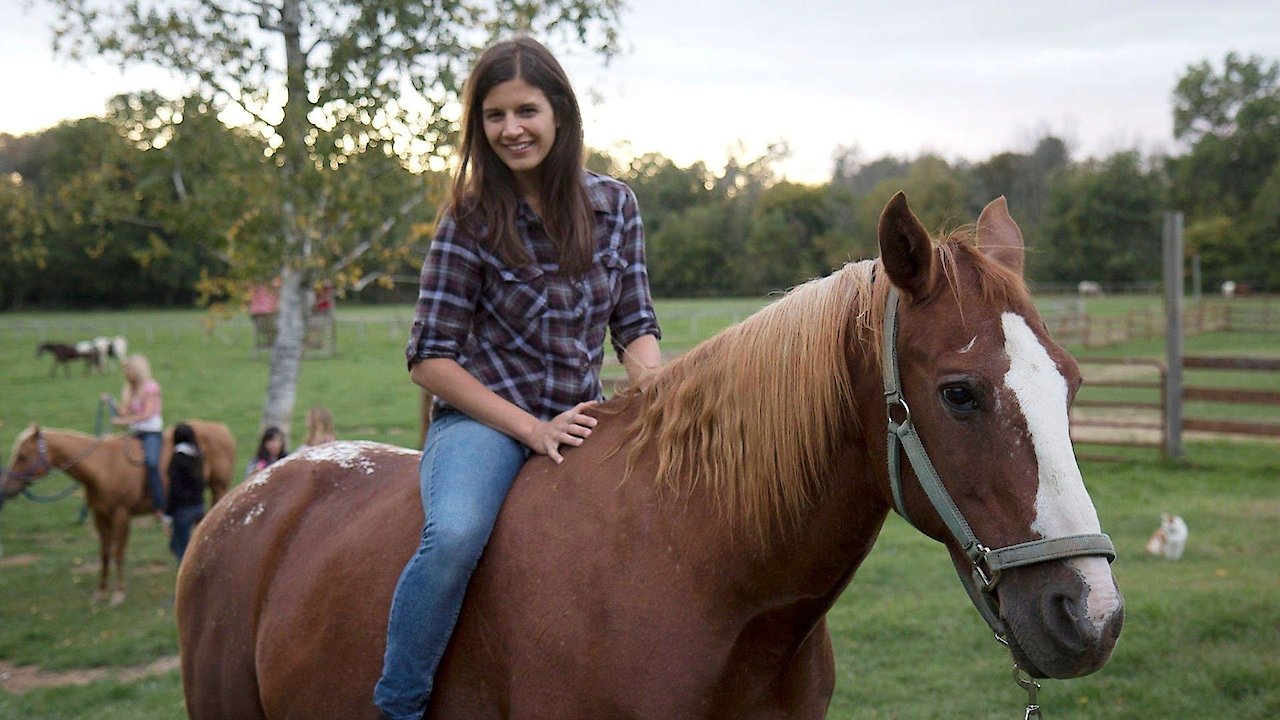 My Dream Horse