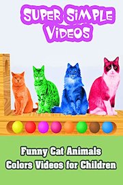 Funny Cat Animals Colors Videos for Children