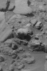 Polar Bear On Mars - Mars Anomalies