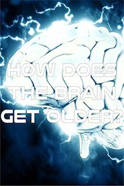 How Does the Brain Get Older?