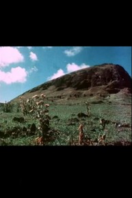 The Quarry