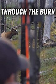 Through The Burn