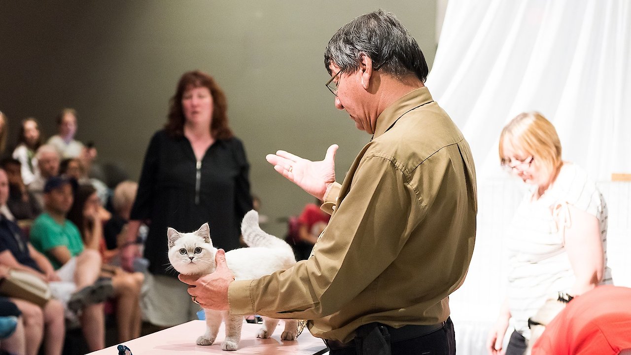 Catwalk: Tales from the Cat Show Circuit