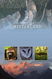 Wild Switzerland
