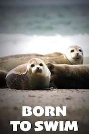 Born to Swim