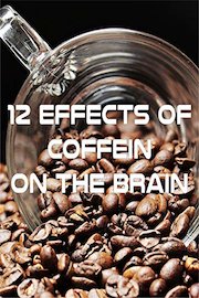 12 Effects of Coffein on the Brain