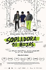 Sopladora de Hojas