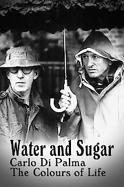 Water & Sugar: Carlo Di Palma, the Colours of Life