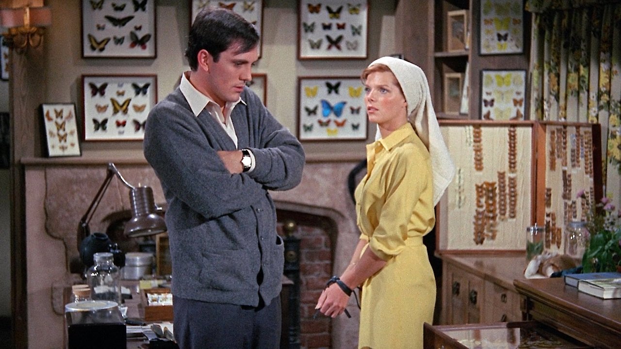 The Butterfly Collector