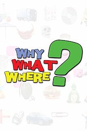 Why, What, Where?