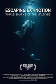 Escaping Extinction; Whale Sharks of the Maldives