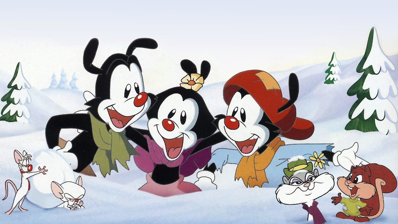 Wakko's Wish