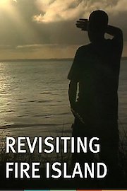 Revisiting Fire Island