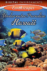 Hawaii Underwater Paradise