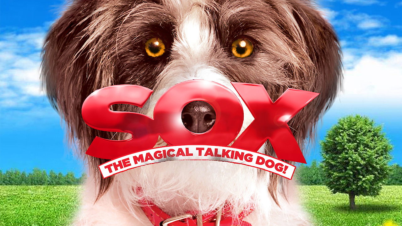 Sox: The Magical Talking Dog!