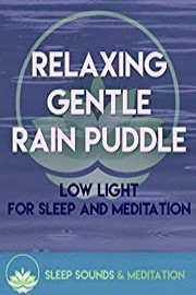 Relaxing Reflective Rain Puddle tion