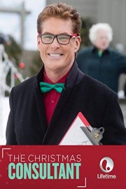 The Christmas Consultant