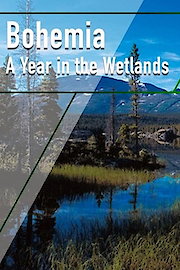 Bohemia - A Year in the Wetlands