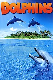 Dolphins