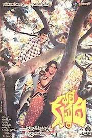Bhale Krishnudu
