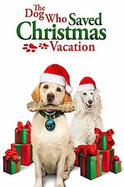 The Dog Who Saved Christmas Vacation [Español]