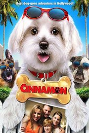 Cinammon