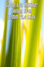 Good for macro? Canon EF-M 32mm f1.4 Lens