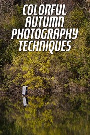 Colorful Autumn Photography Techniques