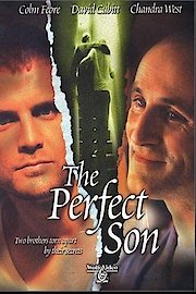 The Perfect Son