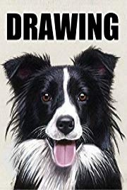 Time Lapse Drawing of a Border Collie Dog