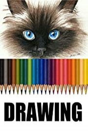 Time Lapse Drawing of a Siamese Cat
