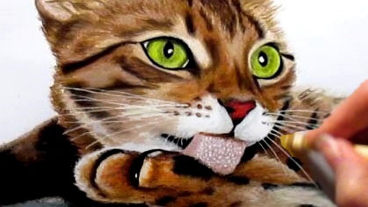 Time Lapse Drawing of a Bengal Cat